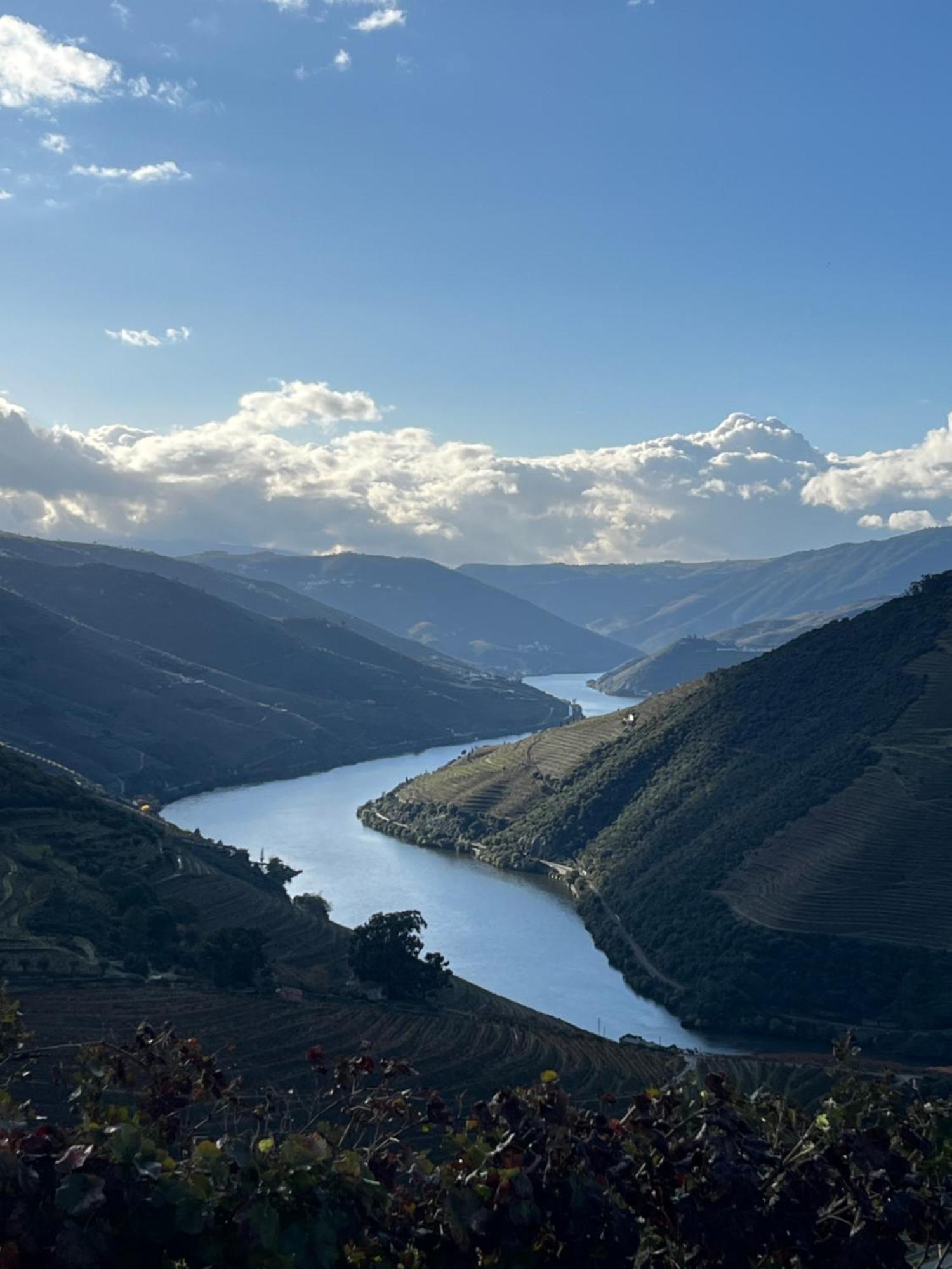 Quinta Da Casa Cimeira, Guest House, Wines & Food Valenca do Douro Exterior photo